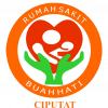 logo RS Buah Hati Ciputat