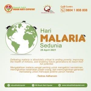 Hari Malaria 2021